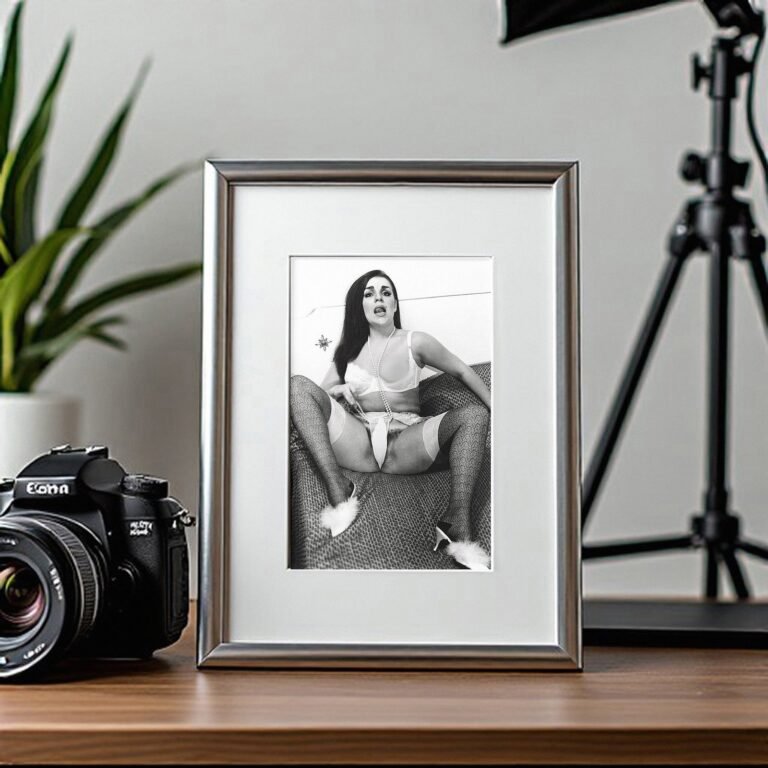 Pin-Up & Glamour Seated Lingerie Studio Pose with Bold Black-and-white Contrast 4x6 Photo Print