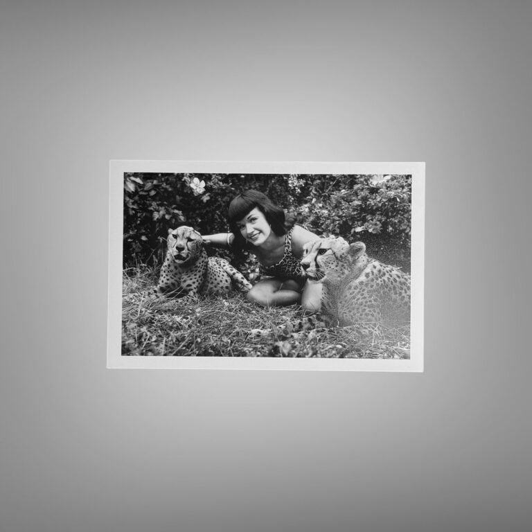 Pin-Up & Glamour Dark-haired Outdoor Leopard Print Reclining Pose with Polished Black-and-white Contrast 4x6 Photo Print