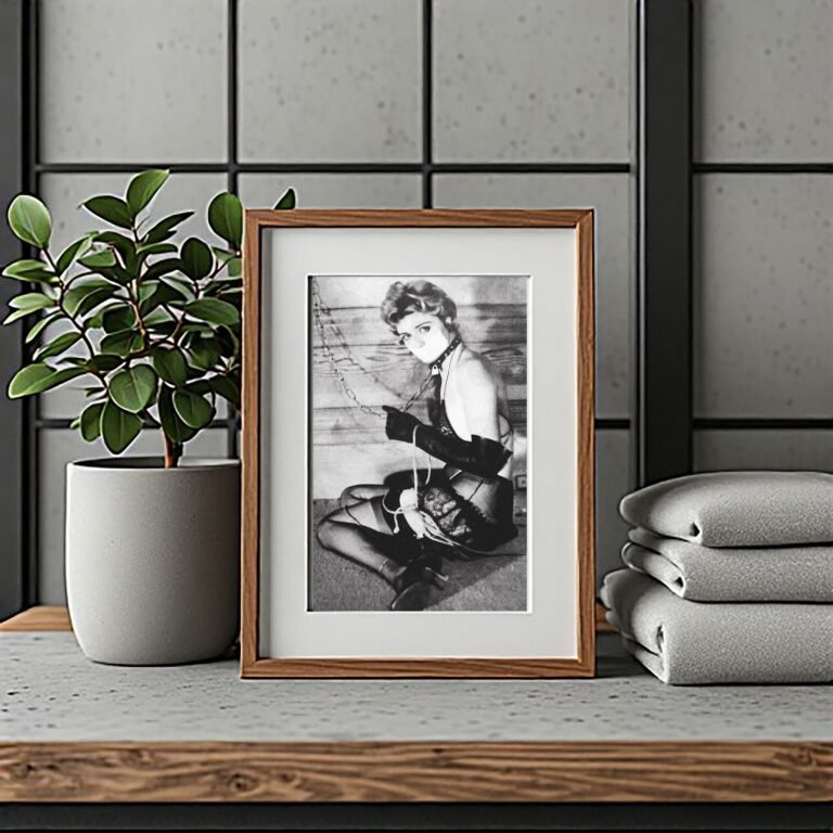Alternative Glamour Reclining Corset Pose in Dark Tones 4x6 Photo Print
