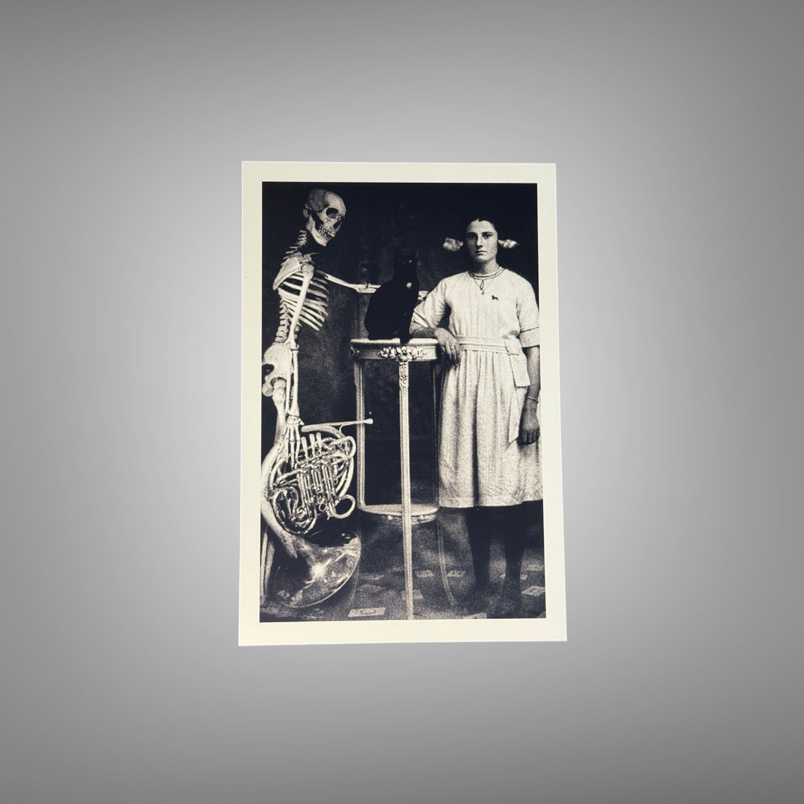 Pin-Up & Glamour Medical Skeleton Classroom Portrait with Standing Woman 4x6 Photo Print