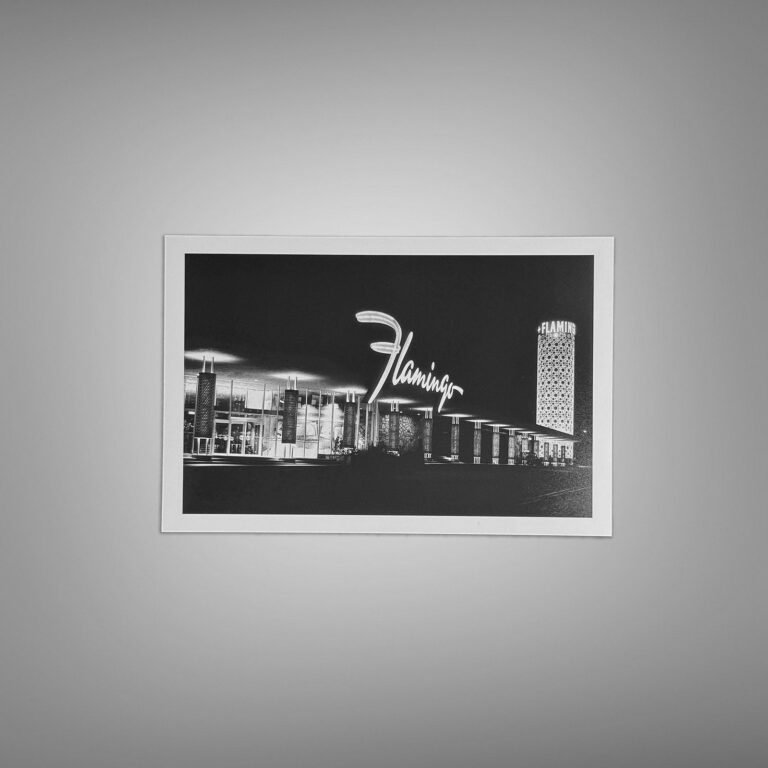 Pin-Up & Glamour Vertical Neon Sign Photograph with Nighttime Culture Appeal 4x6 Photo Print