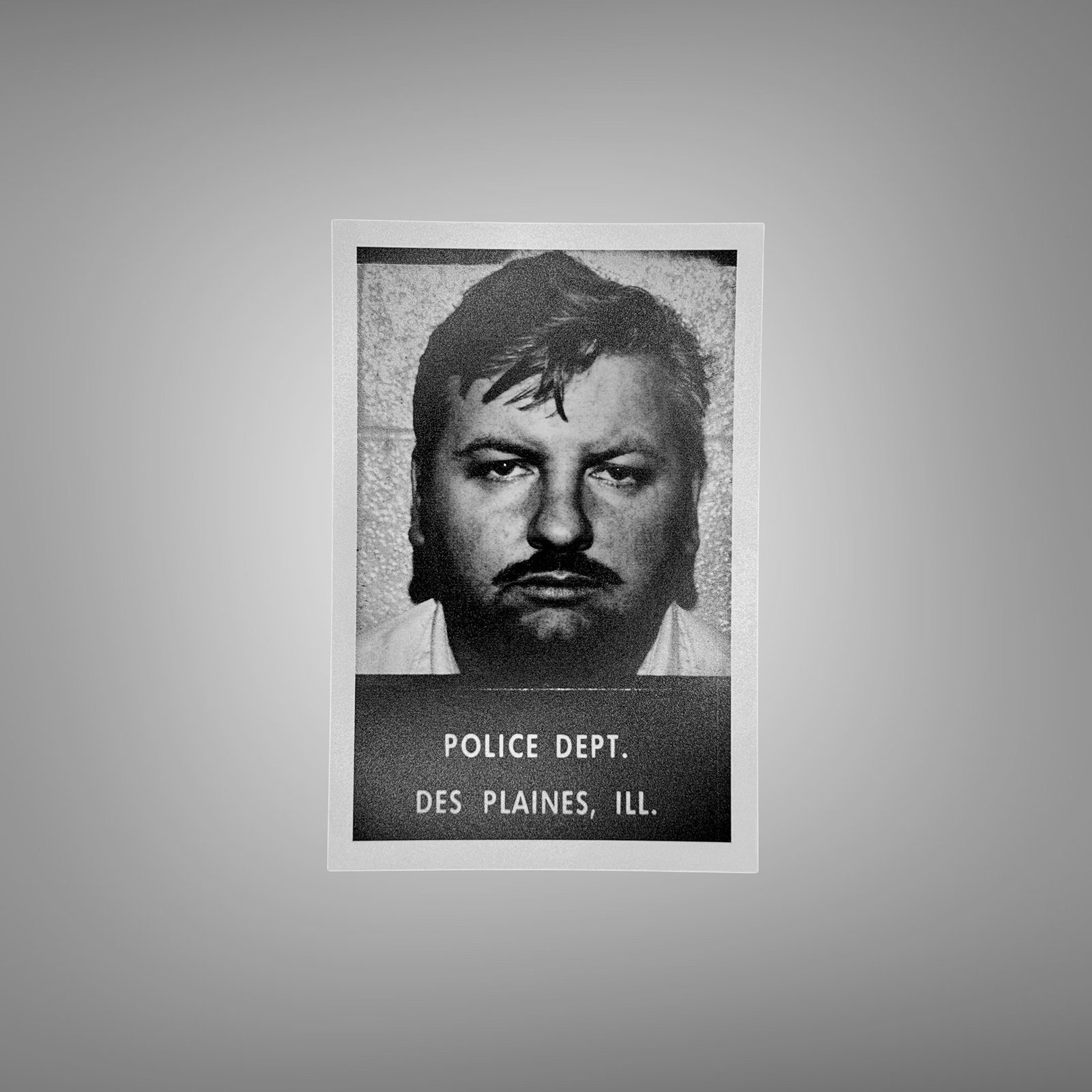 Pin-Up & Glamour Police Department Booking Portrait with Direct Stare 4x6 Photo Print