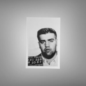 Pin-Up & Glamour New York Police Booking Portrait with Placard 4x6 Photo Print