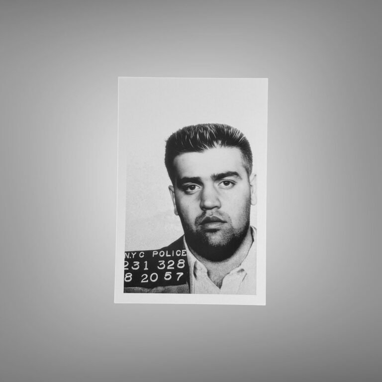 Pin-Up & Glamour New York Police Booking Portrait with Placard 4x6 Photo Print