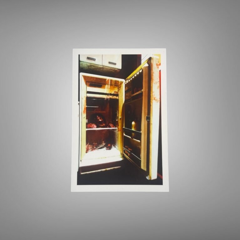 Pin-Up & Glamour Open Cabinet or Evidence Locker Color Photograph 4x6 Photo Print