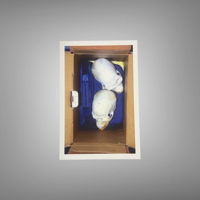 Pin-Up & Glamour Evidence Box Photograph with Mannequin Heads and Blue Storage Detail 4x6 Photo Print