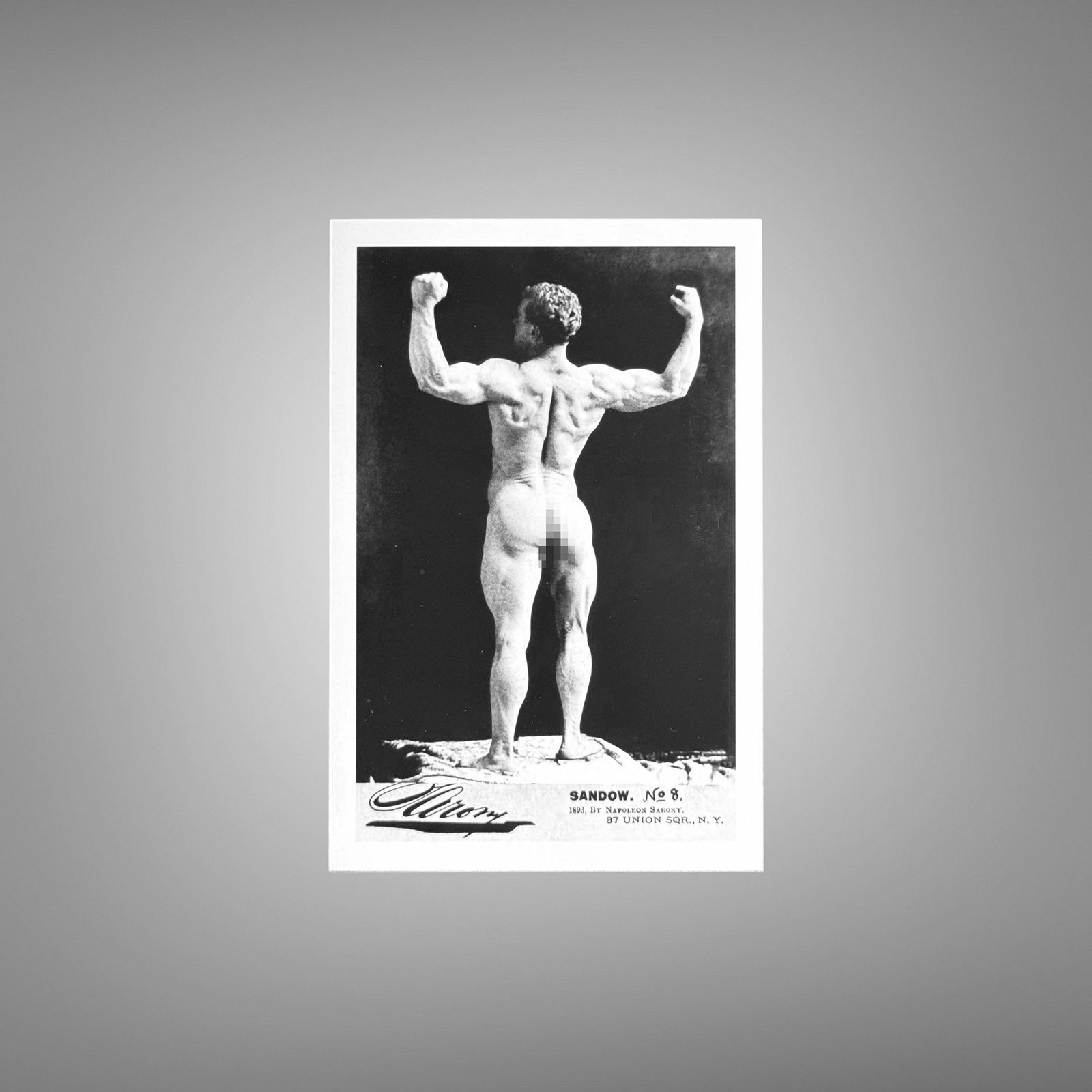 Male Physique Bench Seated Muscle Portrait with Sculptural Posture and Athletic Studio Styling 4x6 Photo Print