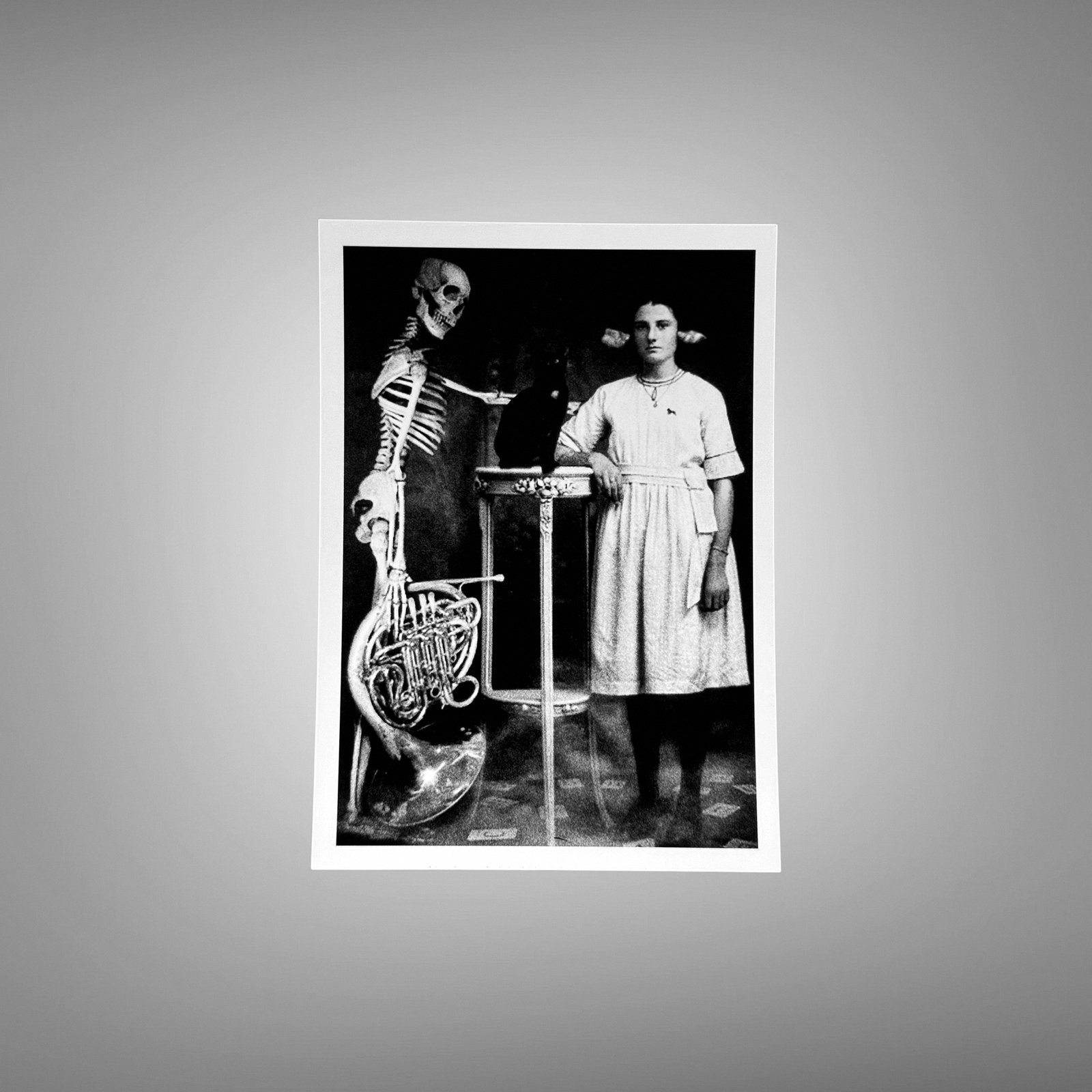 Pin-Up & Glamour Medical Skeleton Classroom Portrait with Standing Woman 5x7 Photo Print