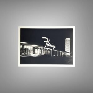 Pin-Up & Glamour Vertical Neon Sign Photograph with Nighttime Culture Appeal 5x7 Photo Print