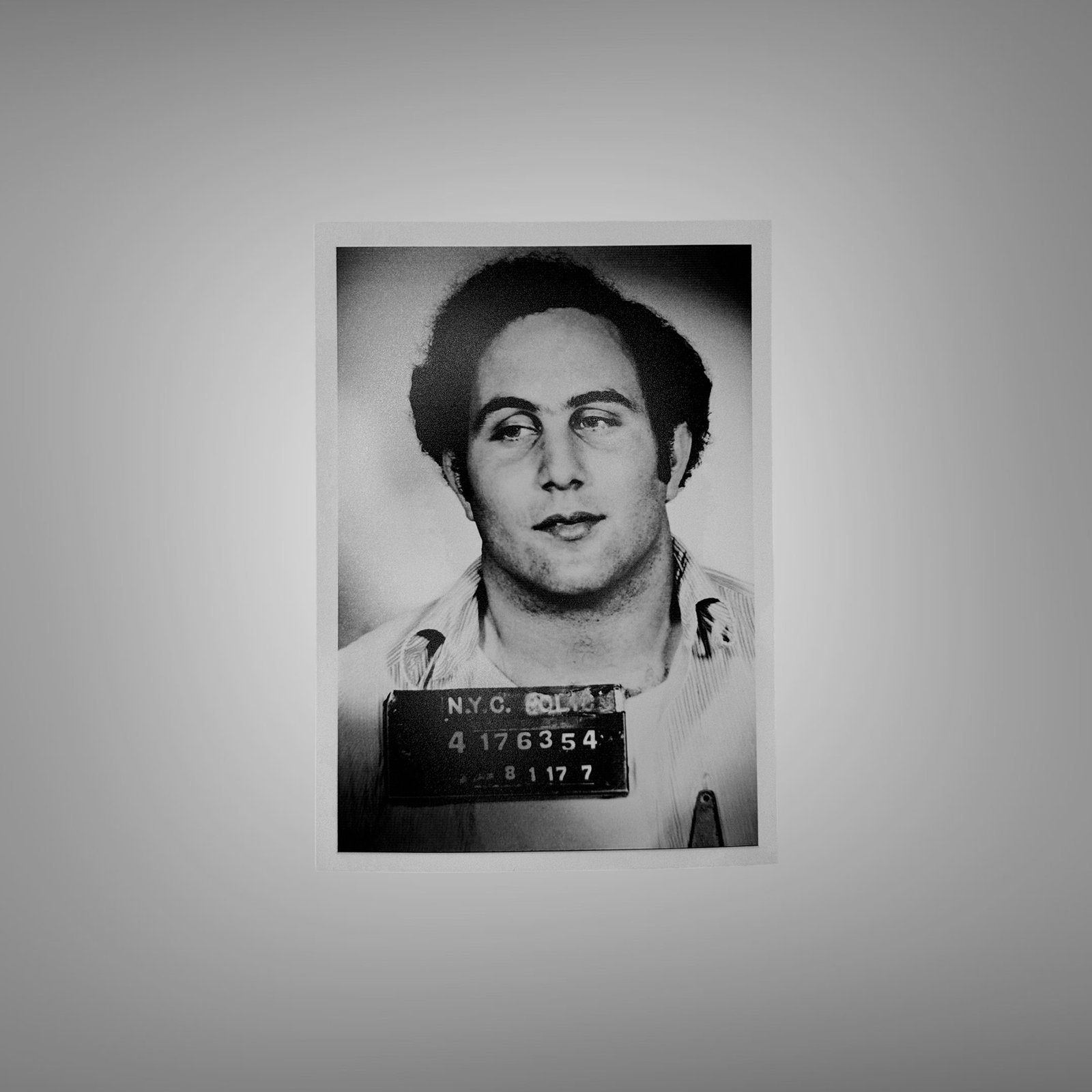 Pin-Up & Glamour Black-and-white Booking Portrait with Police Placard 5x7 Photo Print
